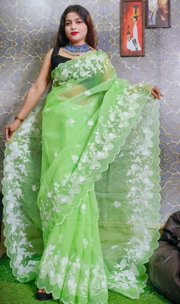 Pure Organza saree