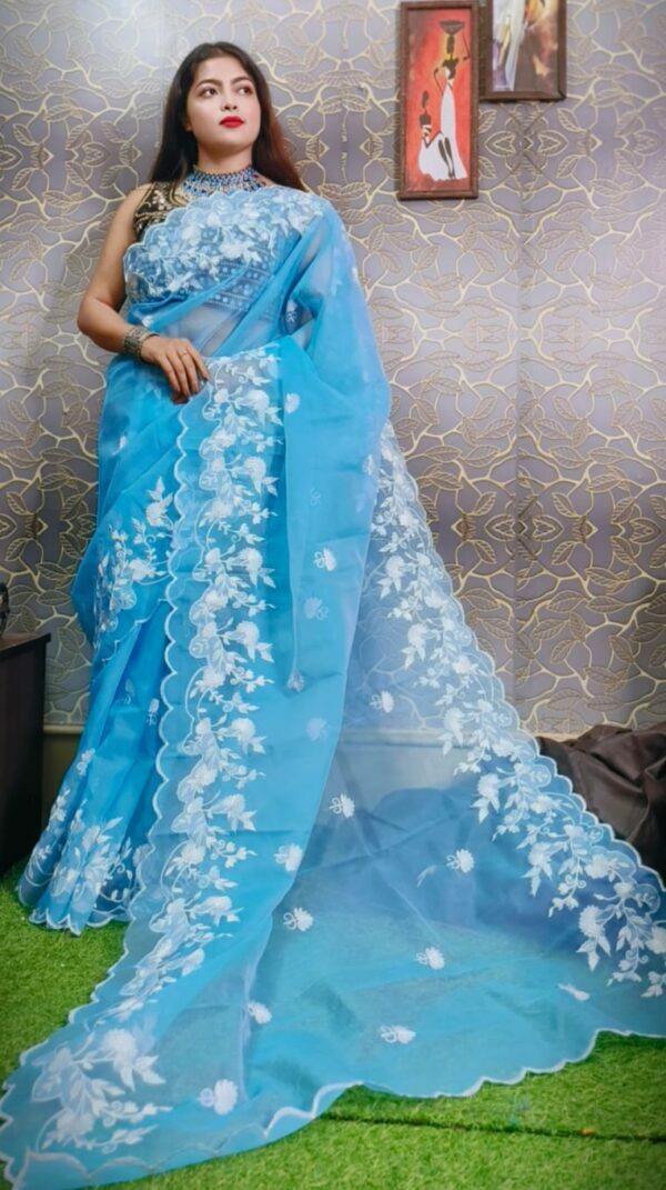 Pure Organza saree