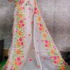 Pure Organza saree