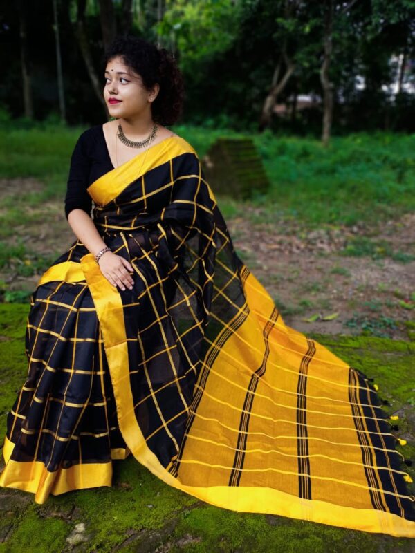 Handloom Checks on Pure Silk Saree